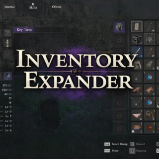 붉은 사막 인벤토리 MOD