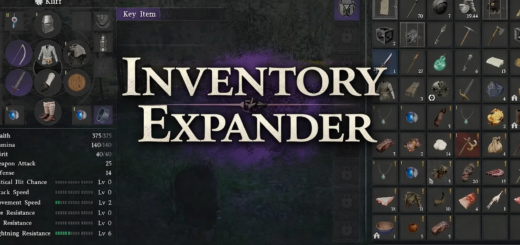 붉은 사막 인벤토리 MOD